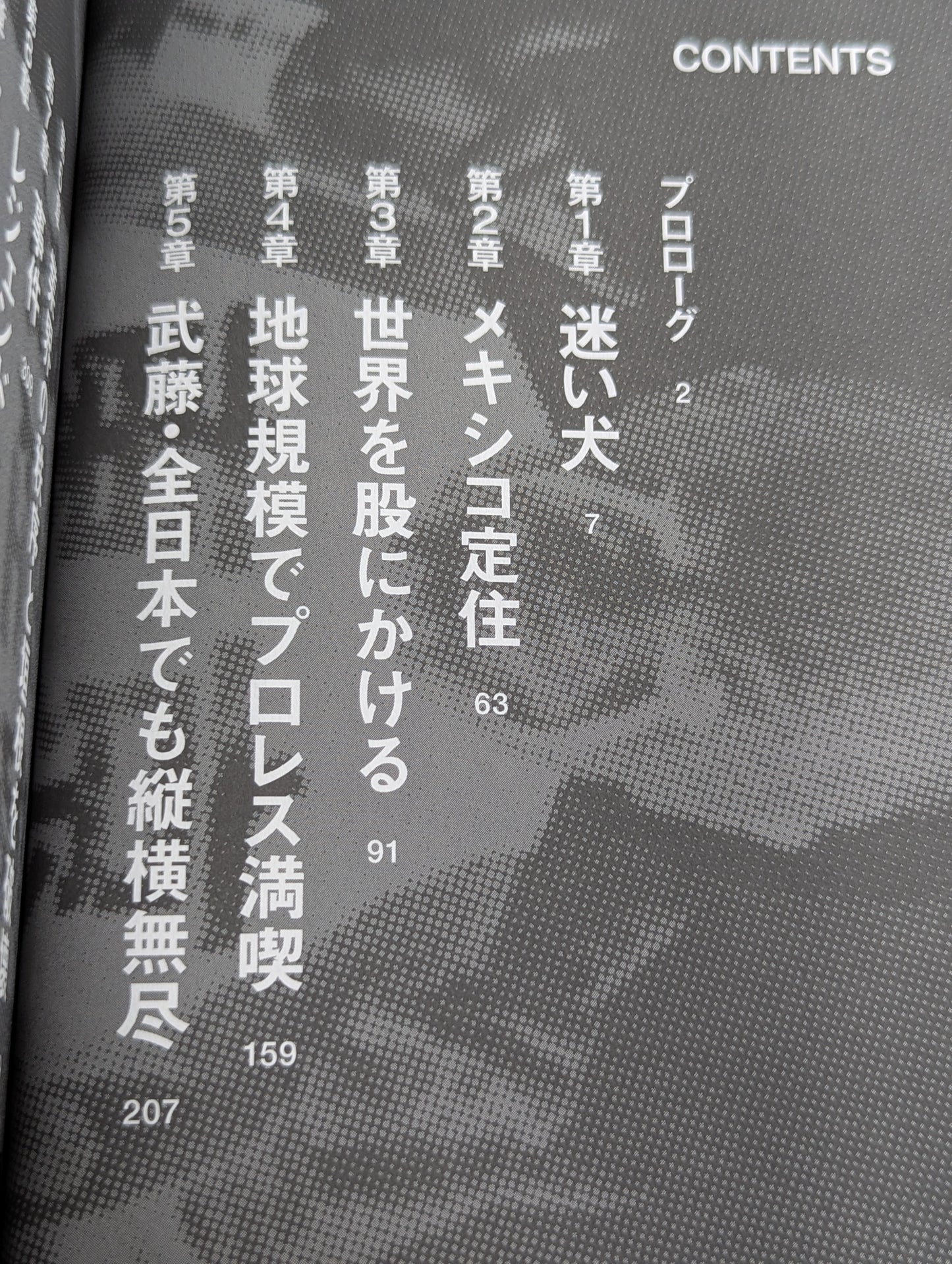 プロレス現地採用 なぜ屋台村から東京ドームに辿り着けたのか? ～VIVA LA VIDA～