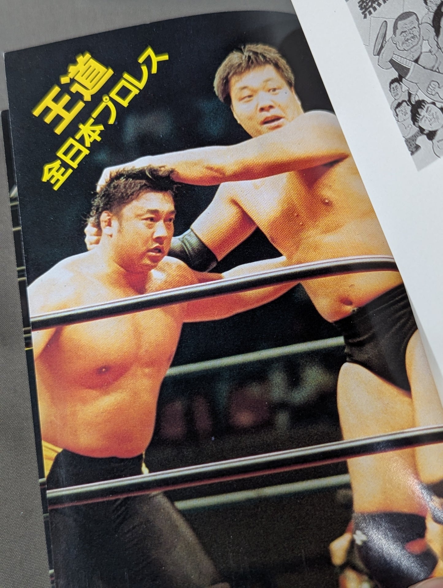 最新プロレス大図鑑⑤王道☆全日本プロレス