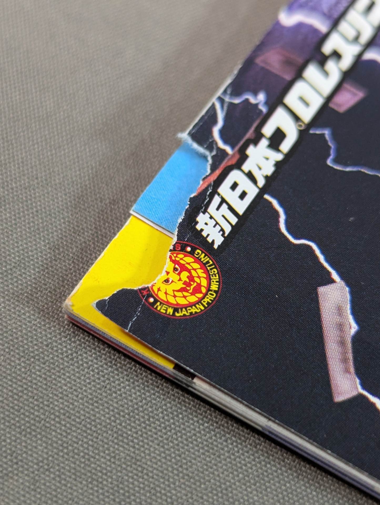 Japan Pro Wrestling 60 Years of Fierce Battle (6)