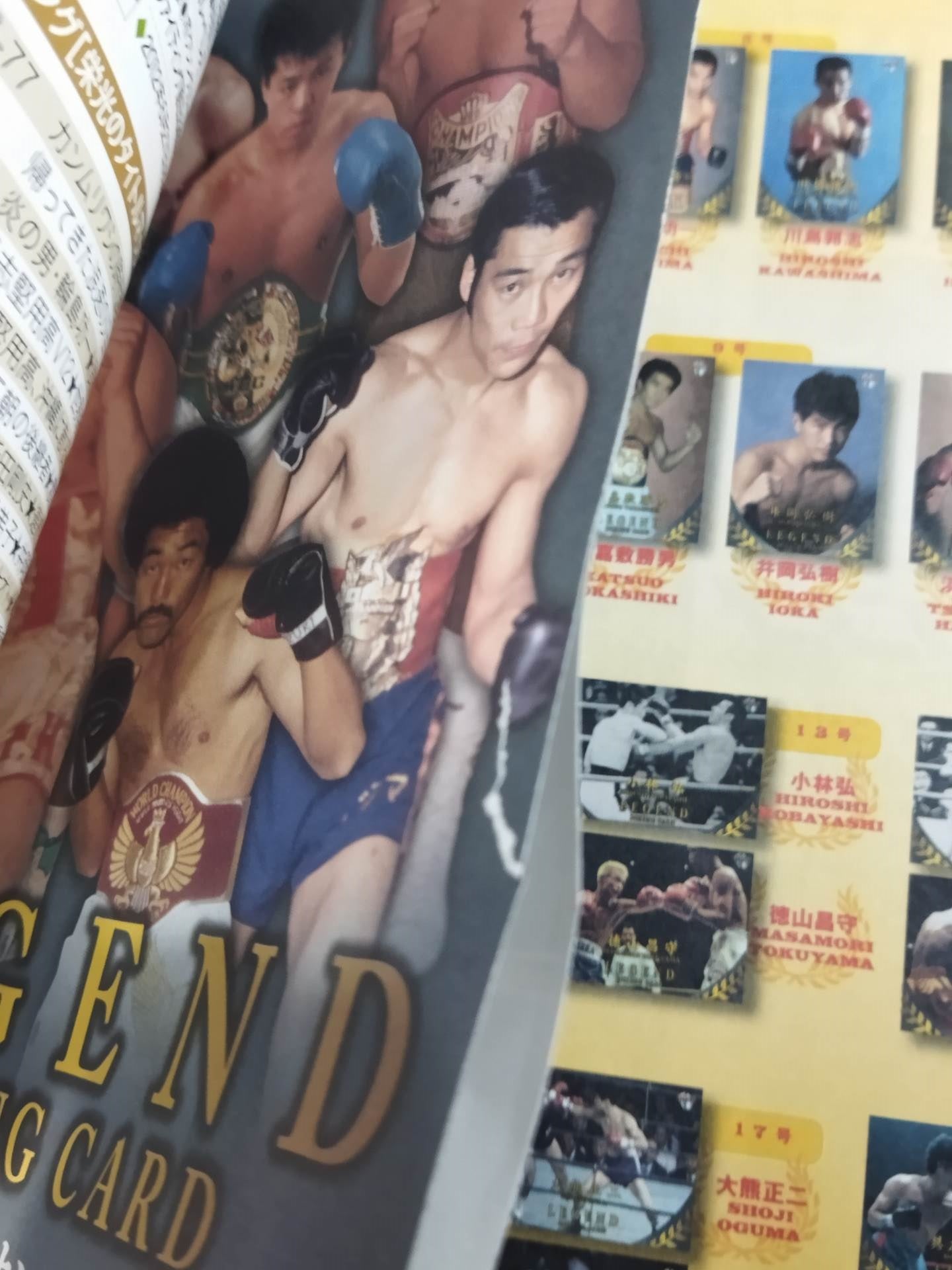 ボクシング栄光のタイトルマッチ60年史 (19)