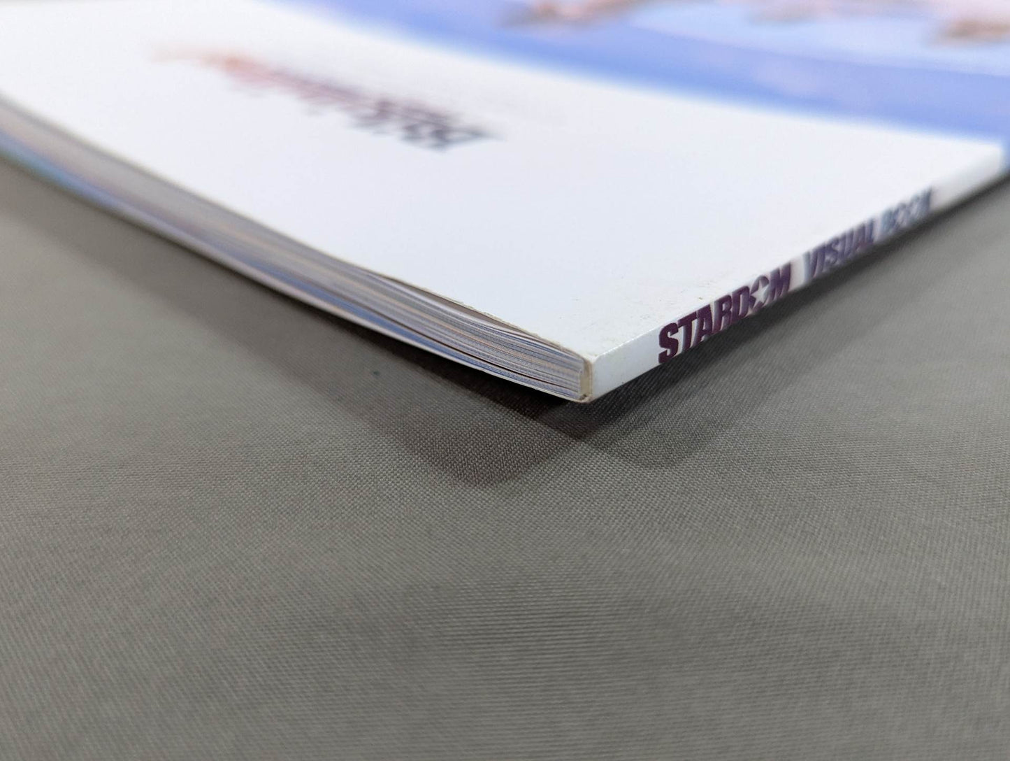 【宝城カイリ 直筆サイン入り】STARDOM VISUAL BOOK Bikiniing 3 The Mexico special