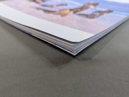 【宝城カイリ 直筆サイン入り】STARDOM VISUAL BOOK Bikiniing 3 The Mexico special