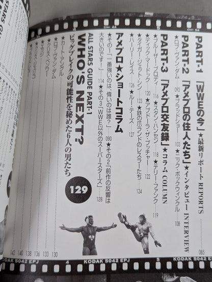 American Pro Wrestling Superstar Complete Guide