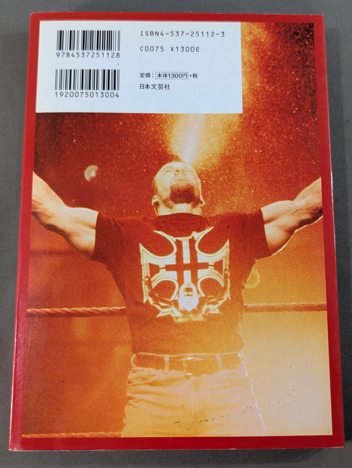 American Pro Wrestling Superstar Complete Guide