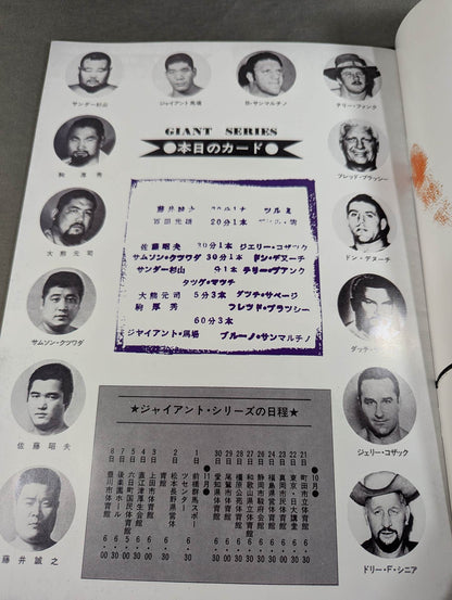 Full Swing Magazine No. 11 All Japan Pro Wrestling Flag Raising Starter Kid