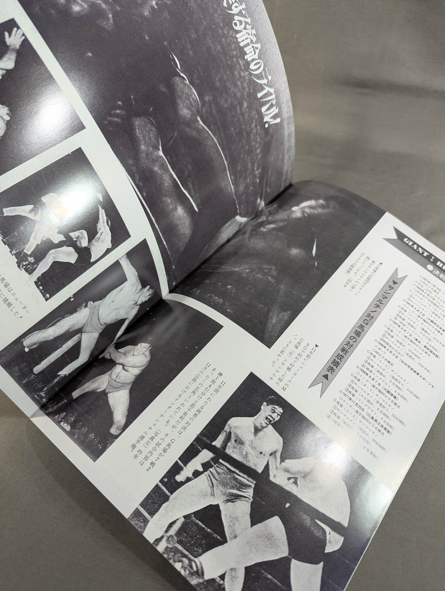 Full Swing Magazine No. 11 All Japan Pro Wrestling Flag Raising Starter Kid