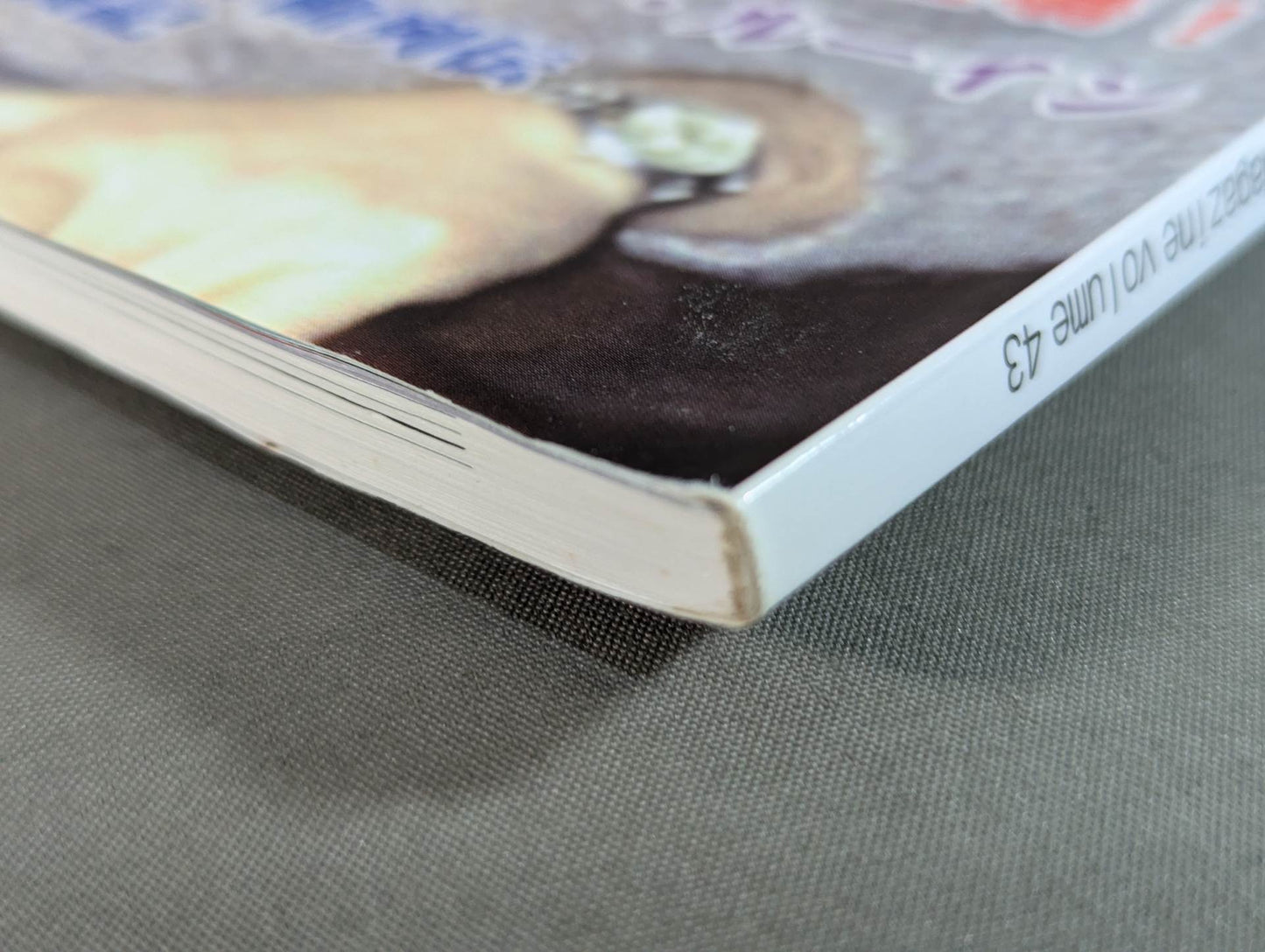 Dr. Mick's Showa Pro Wrestling Magazine No. ★ 43 No. 1 Champion Carnival ★