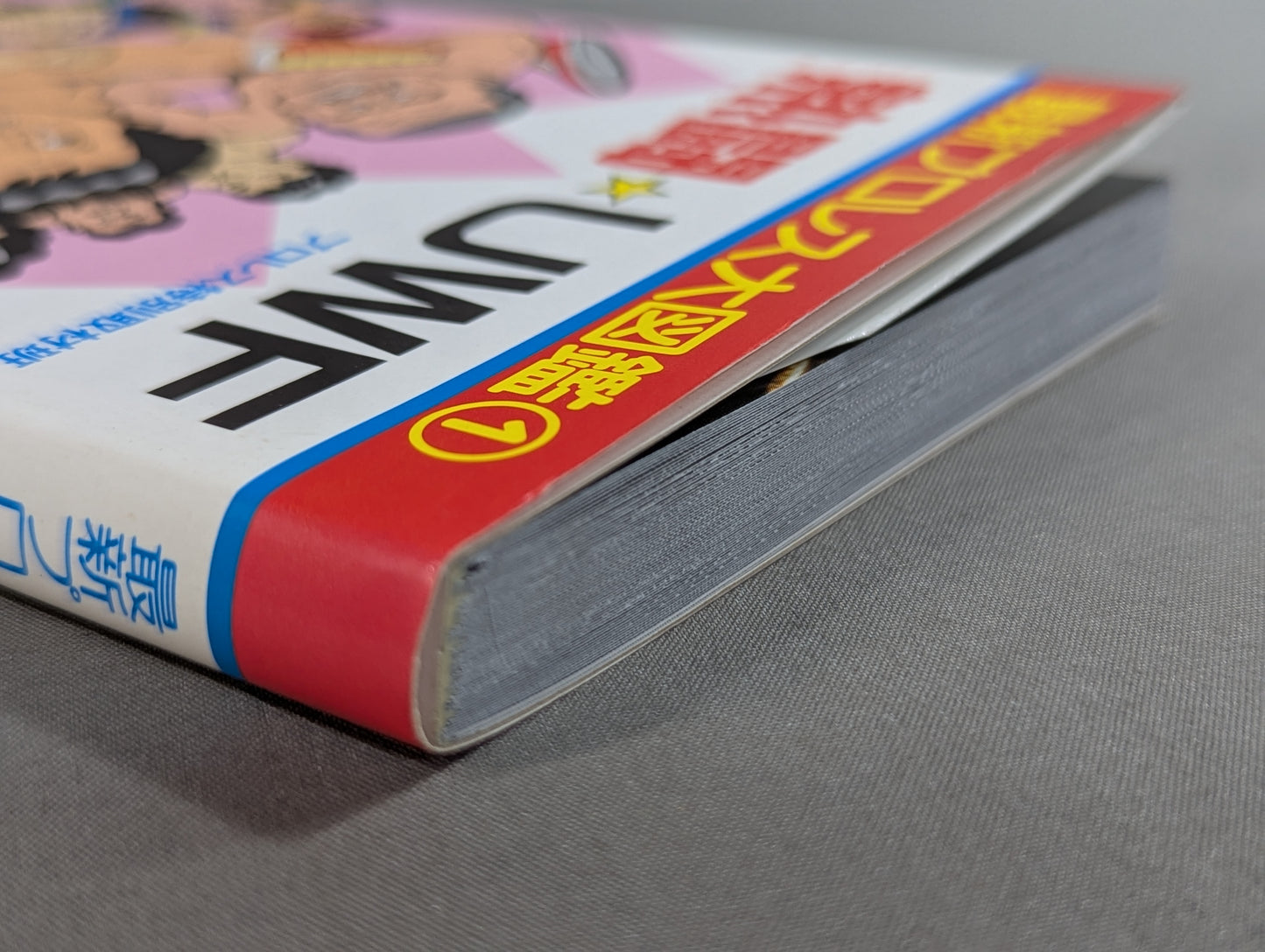 The latest Pro Wrestling encyclopedia (1) Hot Fight ☆ UWF