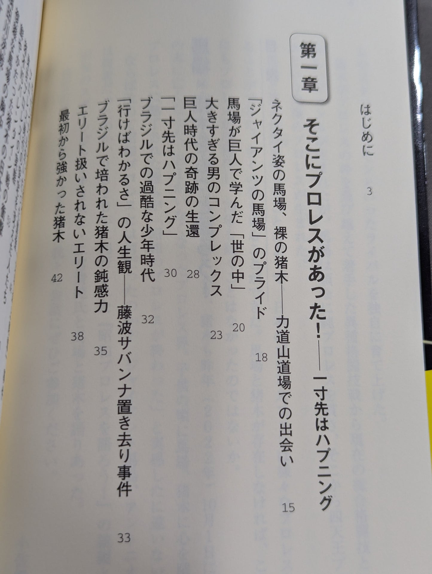 馬場・猪木をもっと語ろう!