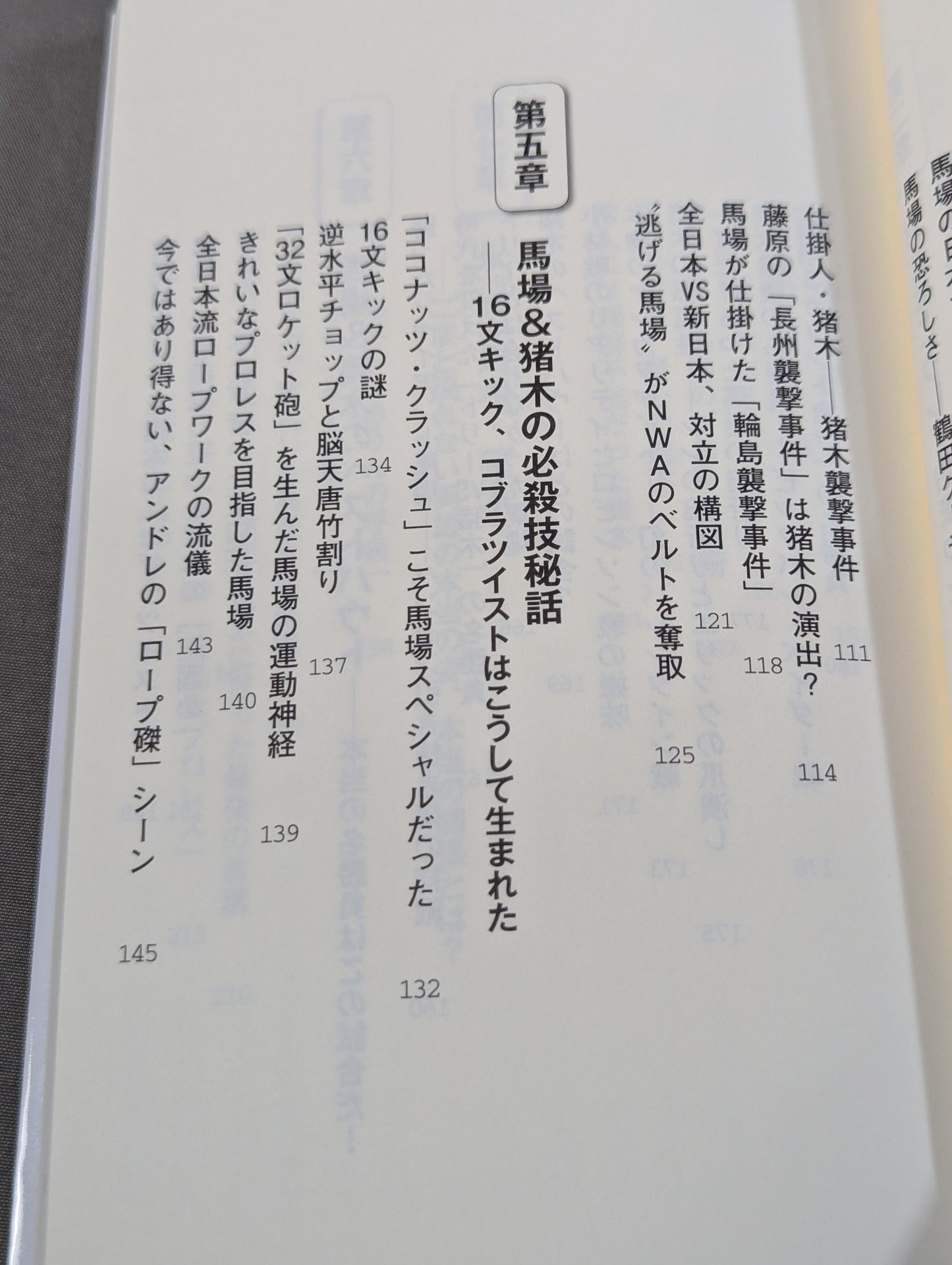馬場・猪木をもっと語ろう!