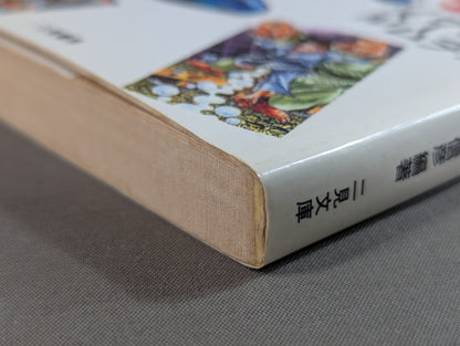 格闘技 マンガ、アニメ、ゲーム、ノベル 99の謎