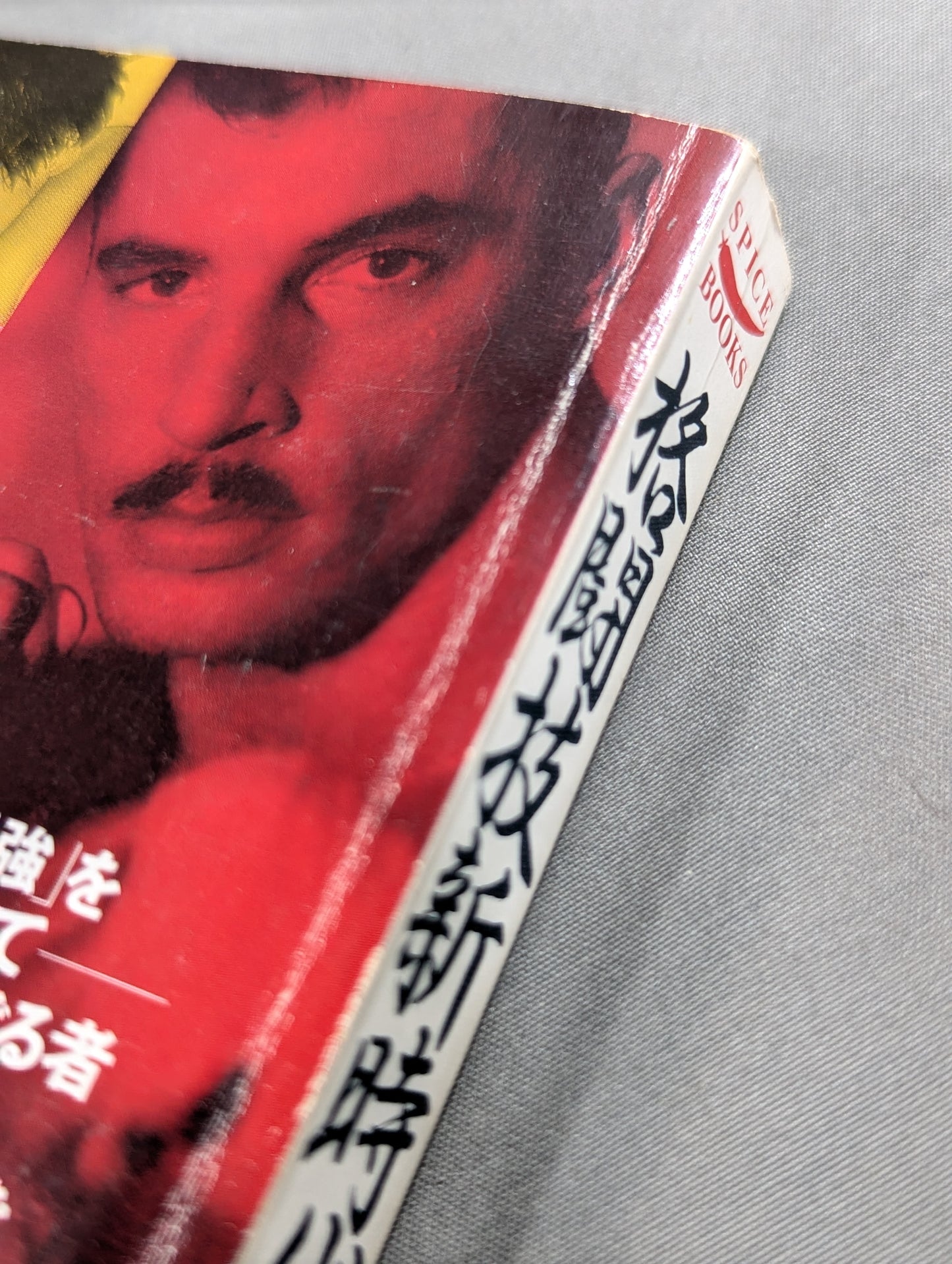 格闘技新時代宣言! 最強を求めて―敗れざる者たちの終わりなき闘い!!