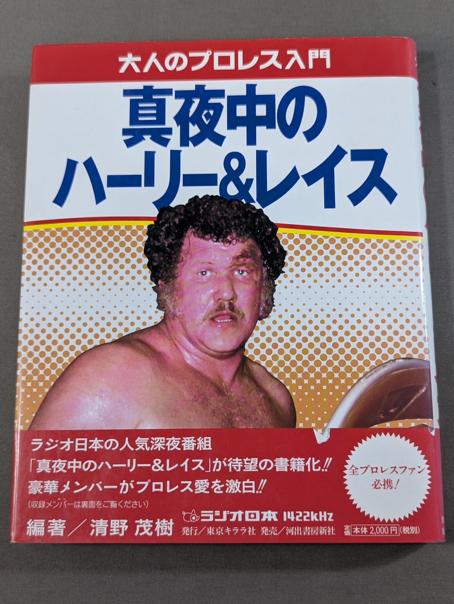 大人のプロレス入門  真夜中のハーリー&レイス