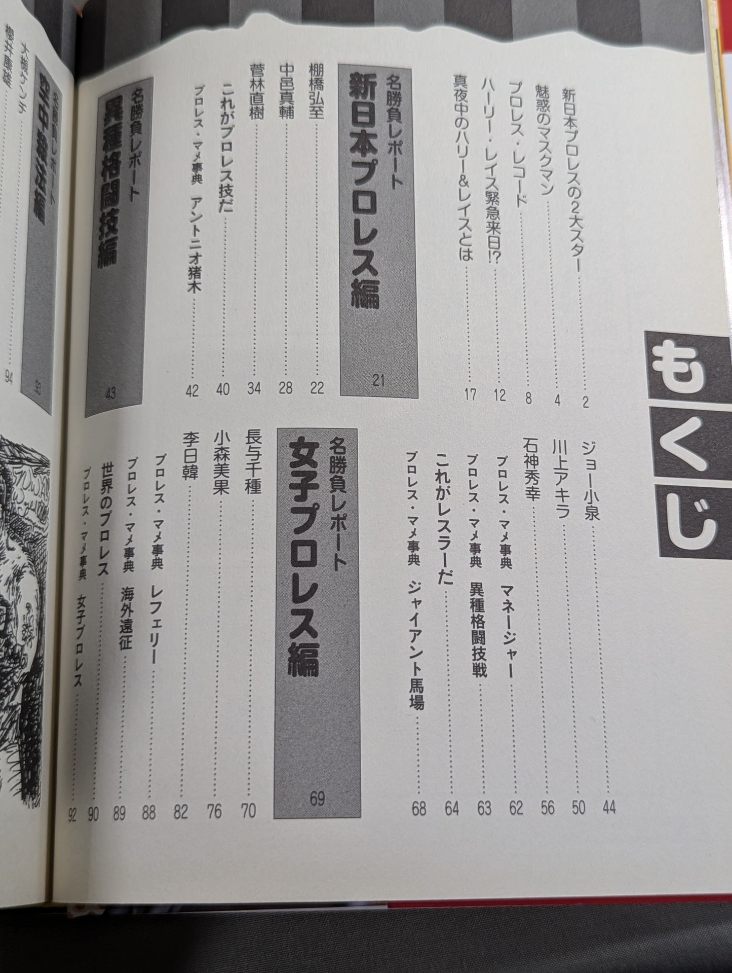 大人のプロレス入門  真夜中のハーリー&レイス