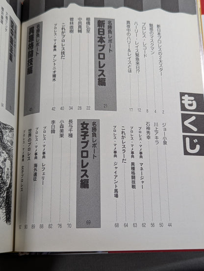 大人のプロレス入門  真夜中のハーリー&レイス