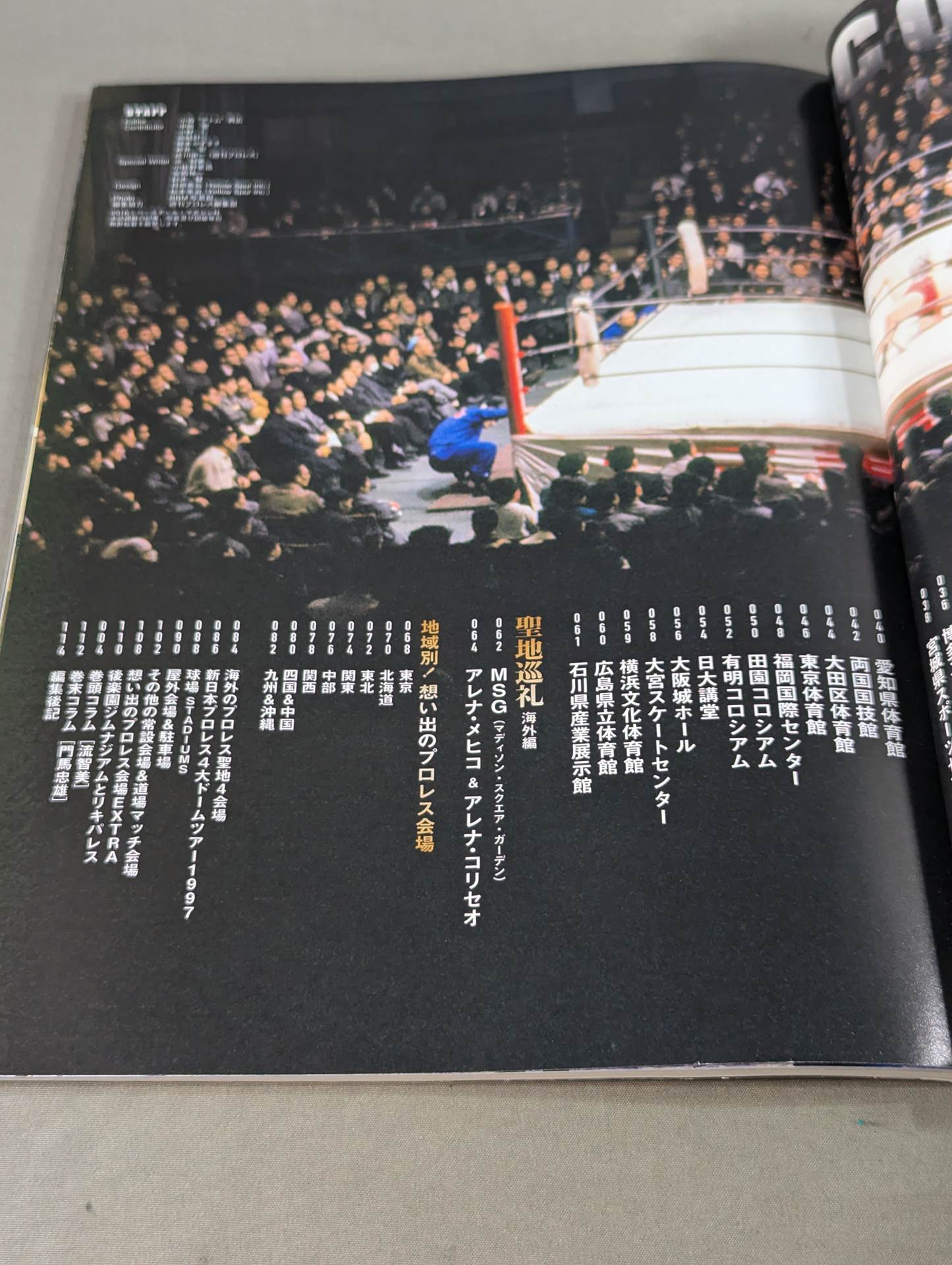 Memorable Pro Wrestling  Venue Story