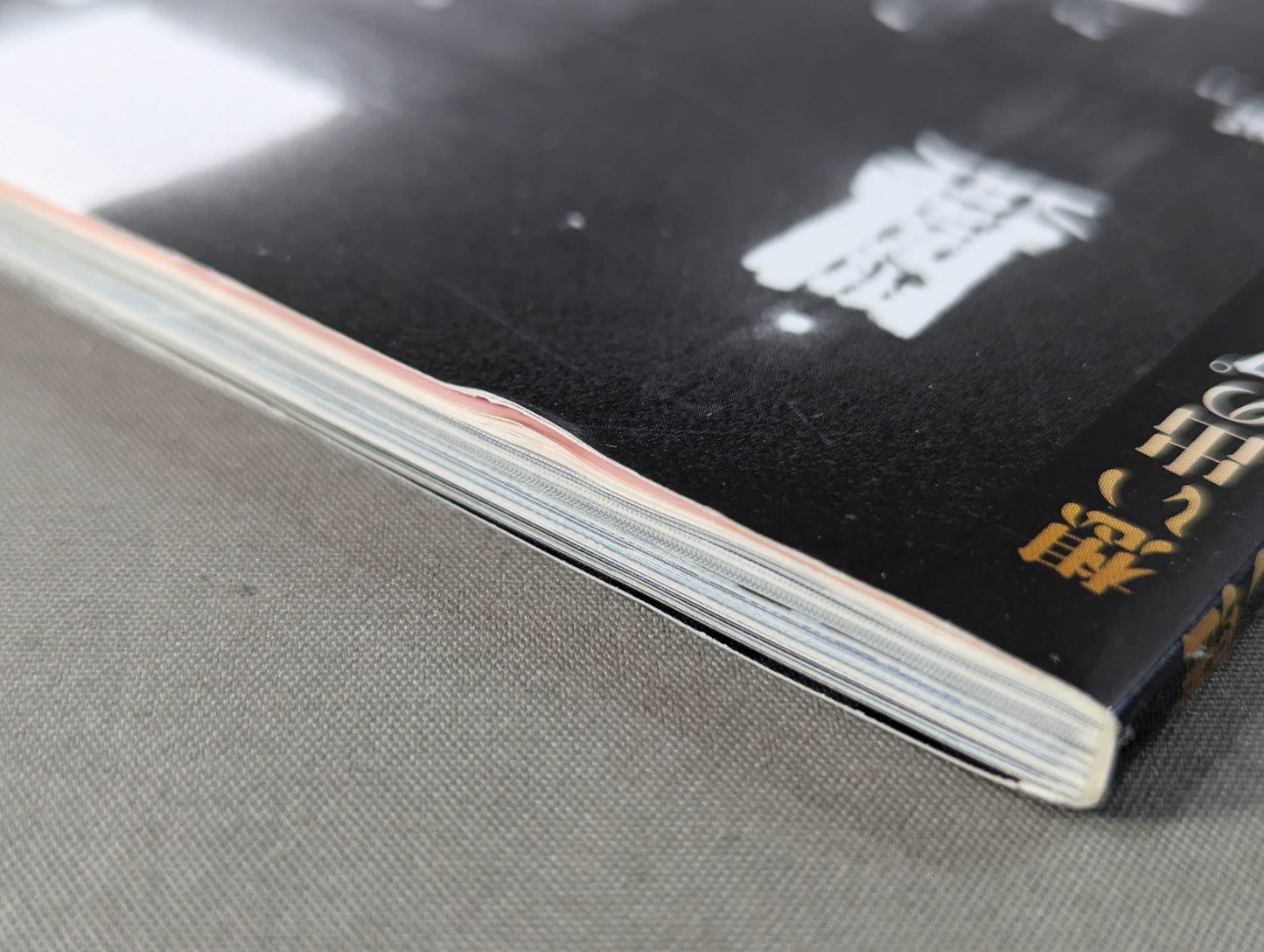 Memorable Pro Wrestling  Venue Story