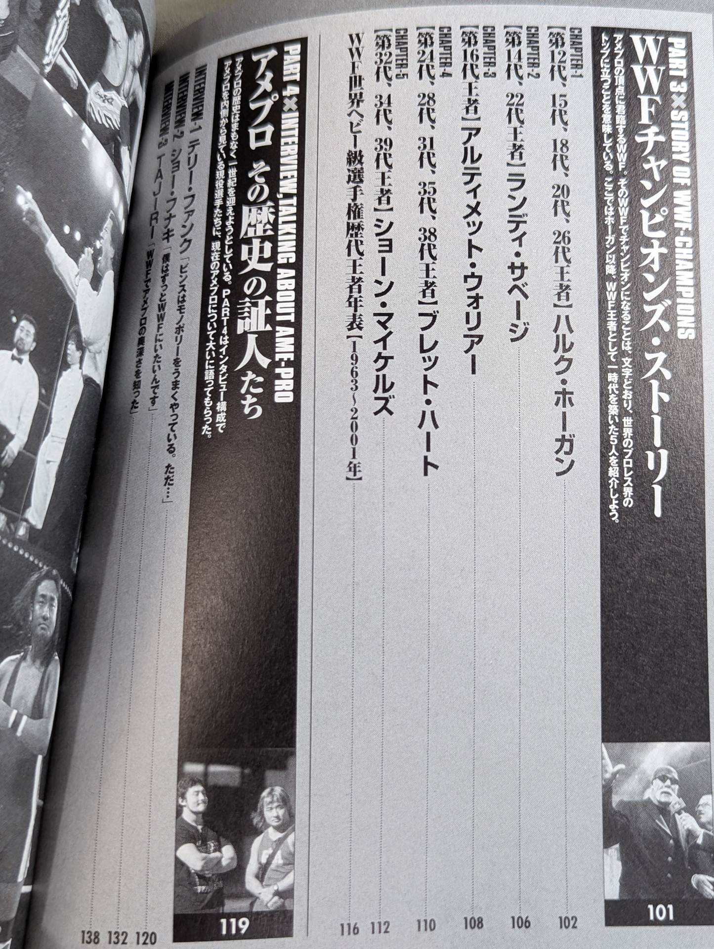 まるごとわかる アメリカンプロレス