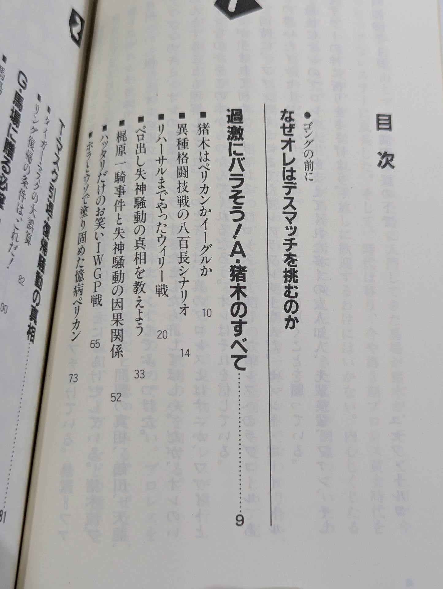 こんなプロレス知ってるかい – 闘道館
