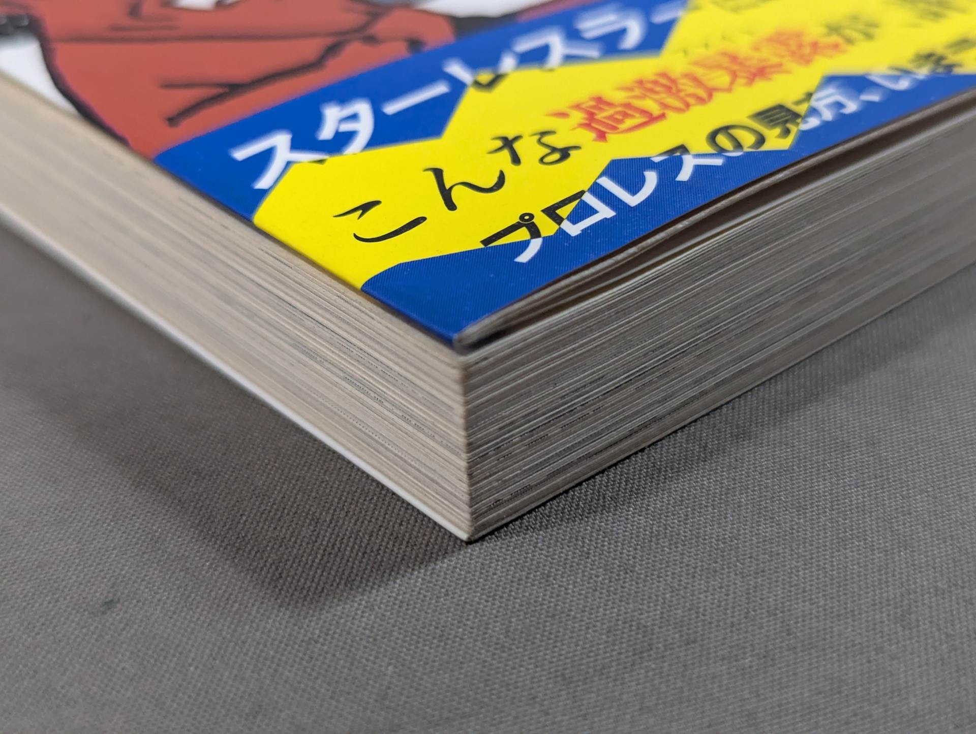 こんなプロレス知ってるかい – 闘道館
