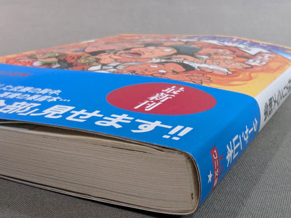 Pro Wrestling  vs Martial Arts Charisma War