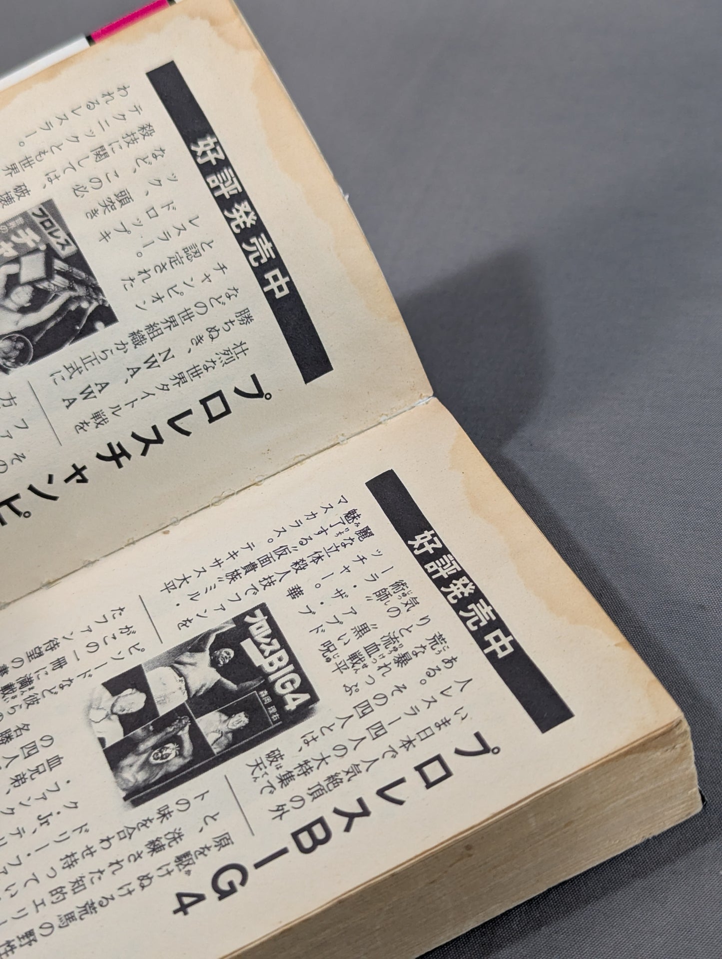 豆たぬきの本174  プロレス新必殺技BEST100