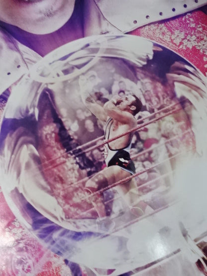 ROYAL RUMBLE 2011 PPVフルサイズポスター