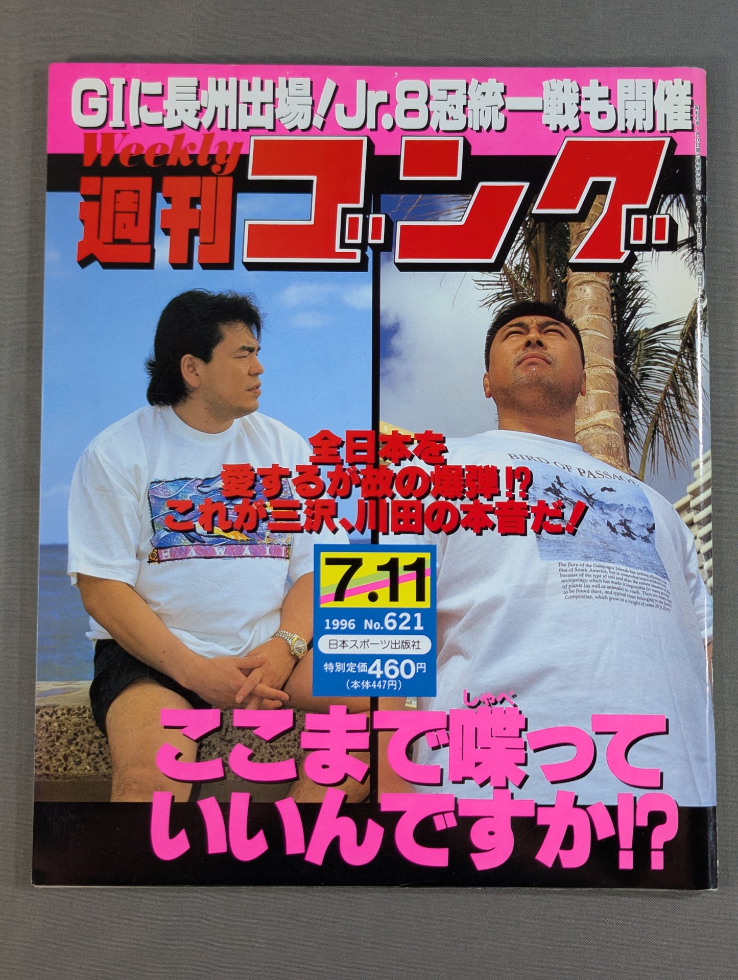 週刊ゴング621