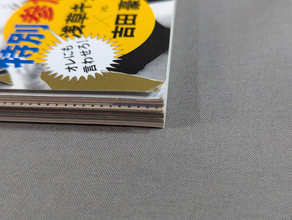 フィギュア王 No.43 特集激闘プロレスフィギュア