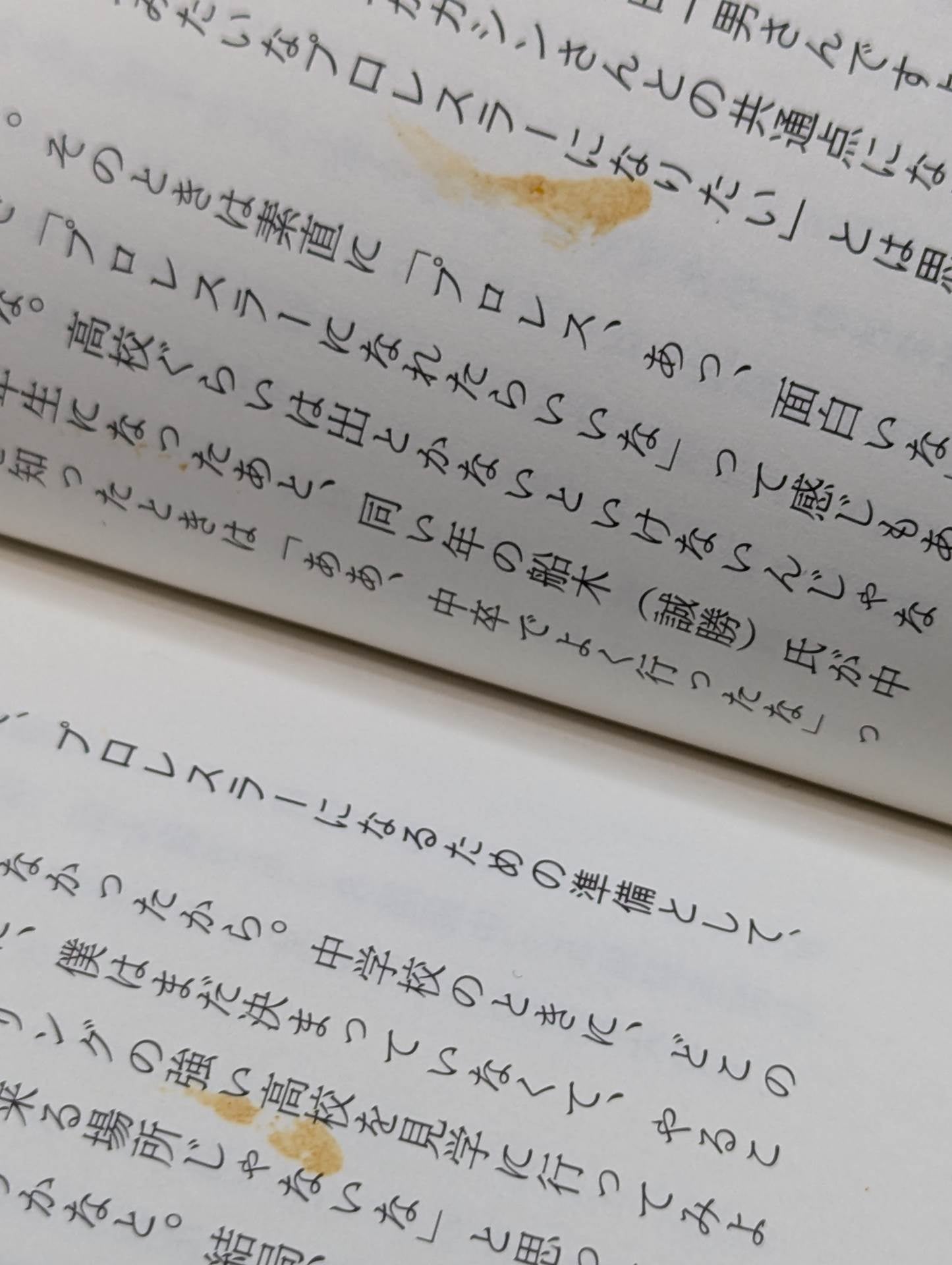 I was a pro wrestler  in Futu until I became a part-time university lecturer at KO