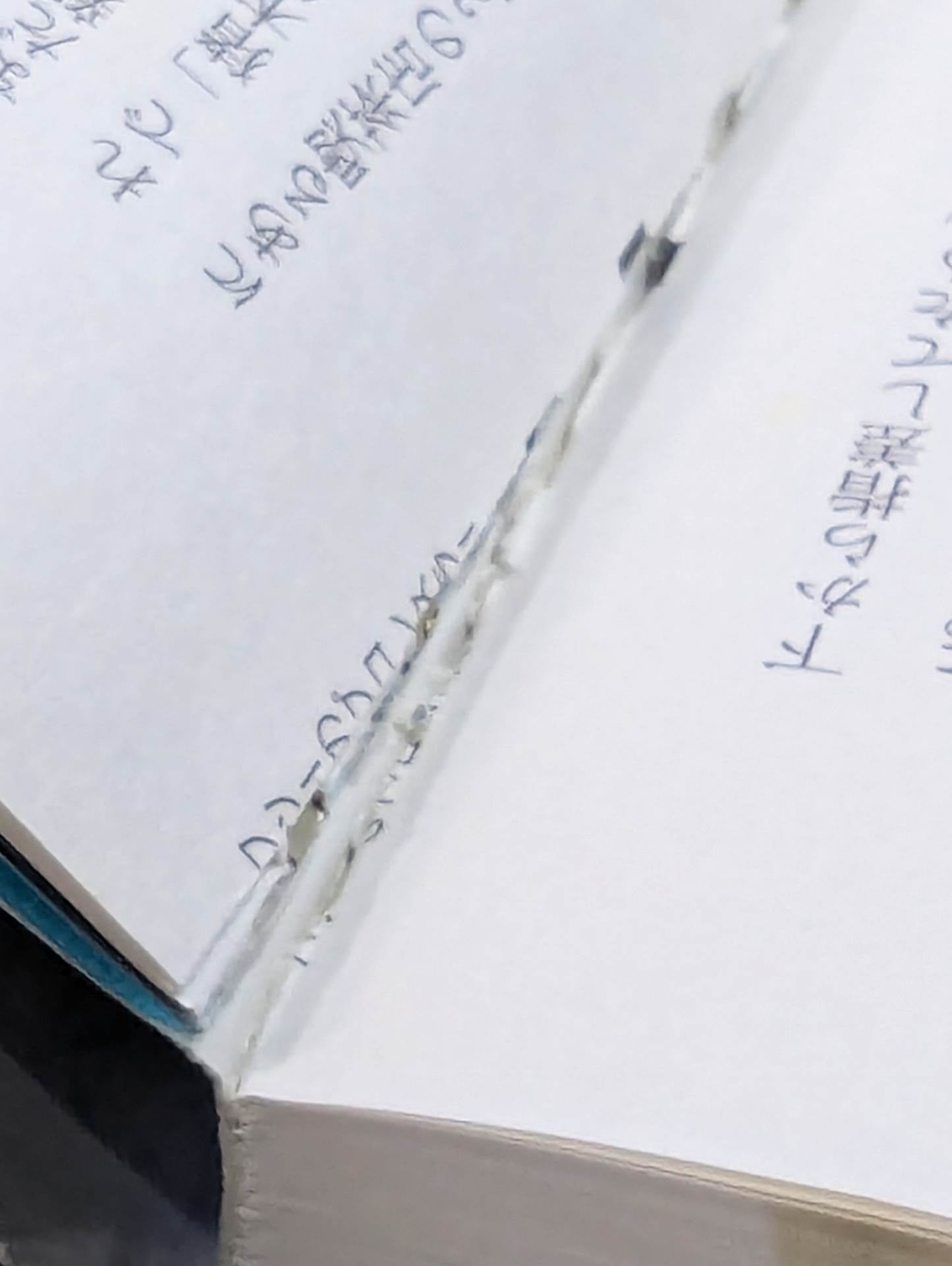 I was a pro wrestler  in Futu until I became a part-time university lecturer at KO