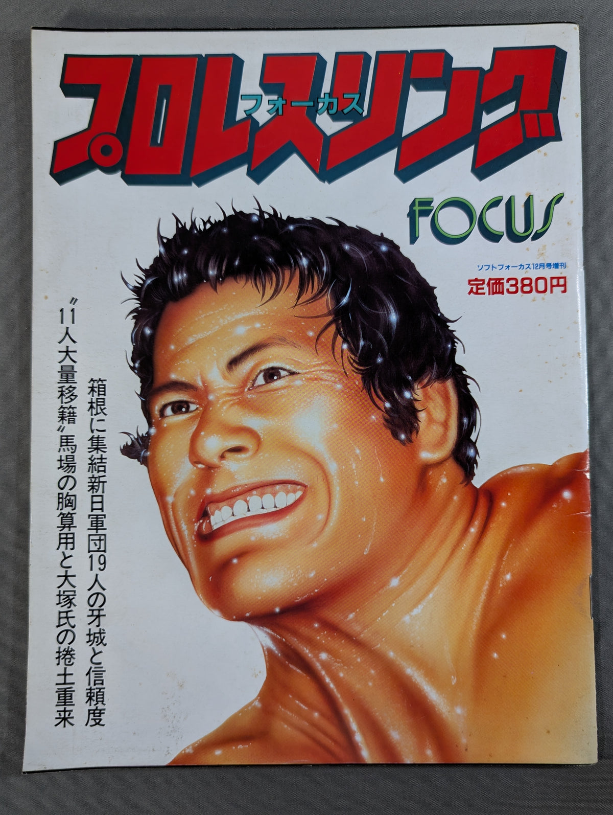 Pro-wrestling  FOCUS