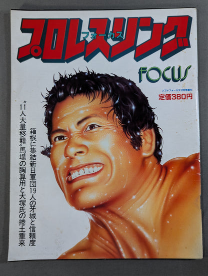 Pro-wrestling  FOCUS