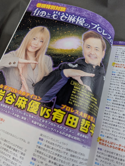 【ブロマイド2枚付】スターダム ファンブック2  STARDOM FANBOOK 2
