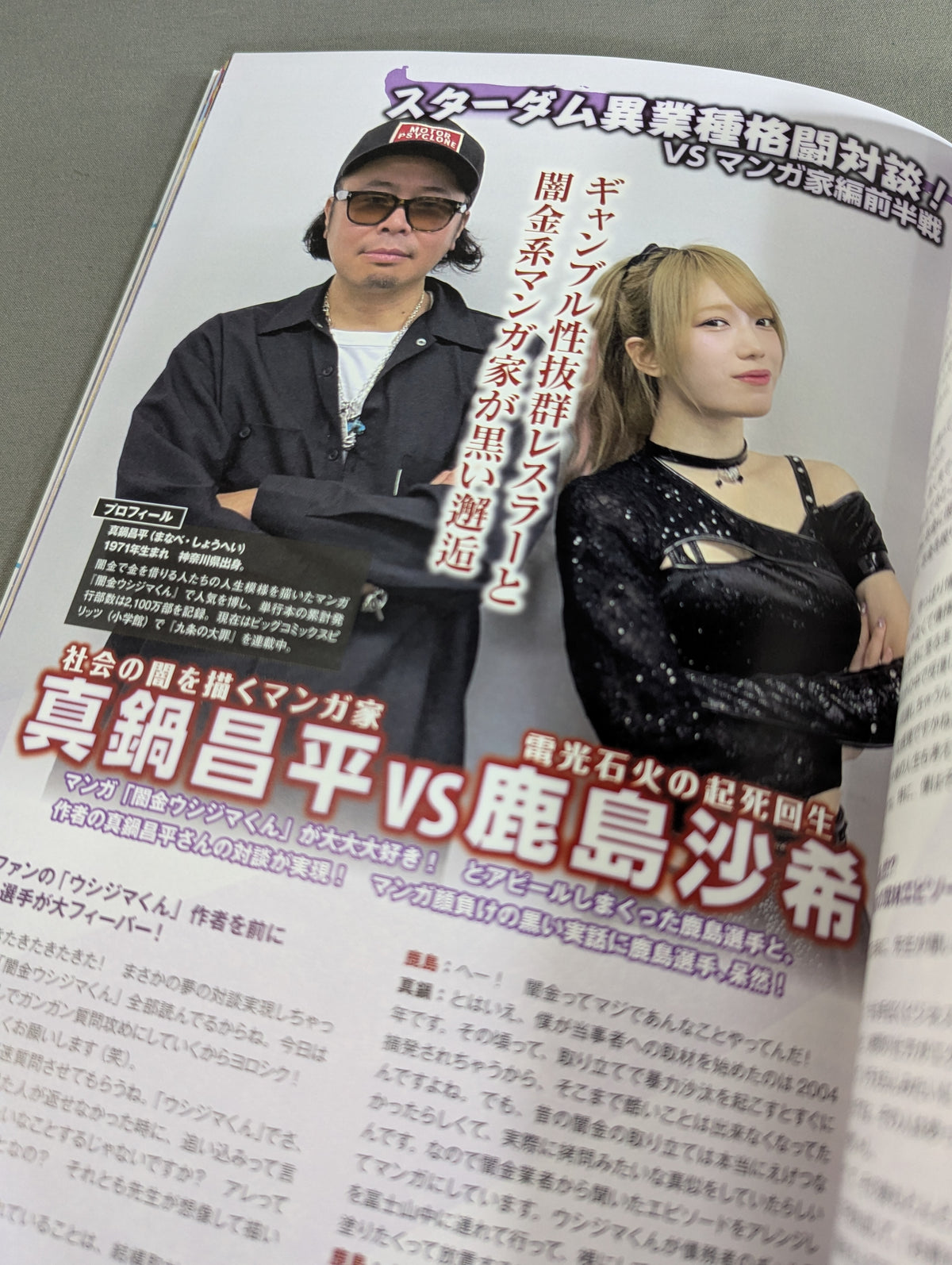 【ブロマイド2枚付】スターダム ファンブック2  STARDOM FANBOOK 2