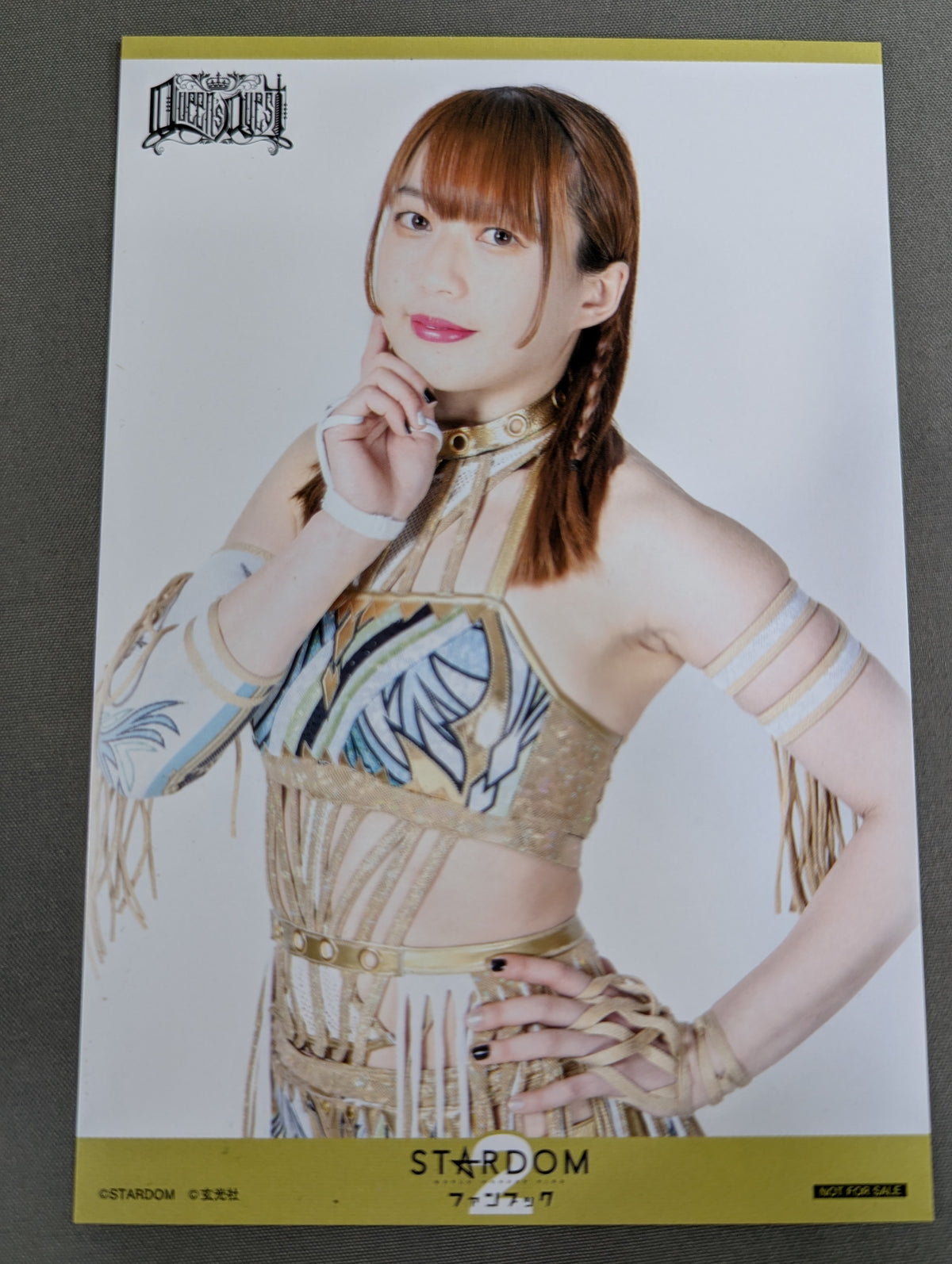 【ブロマイド2枚付】スターダム ファンブック2  STARDOM FANBOOK 2