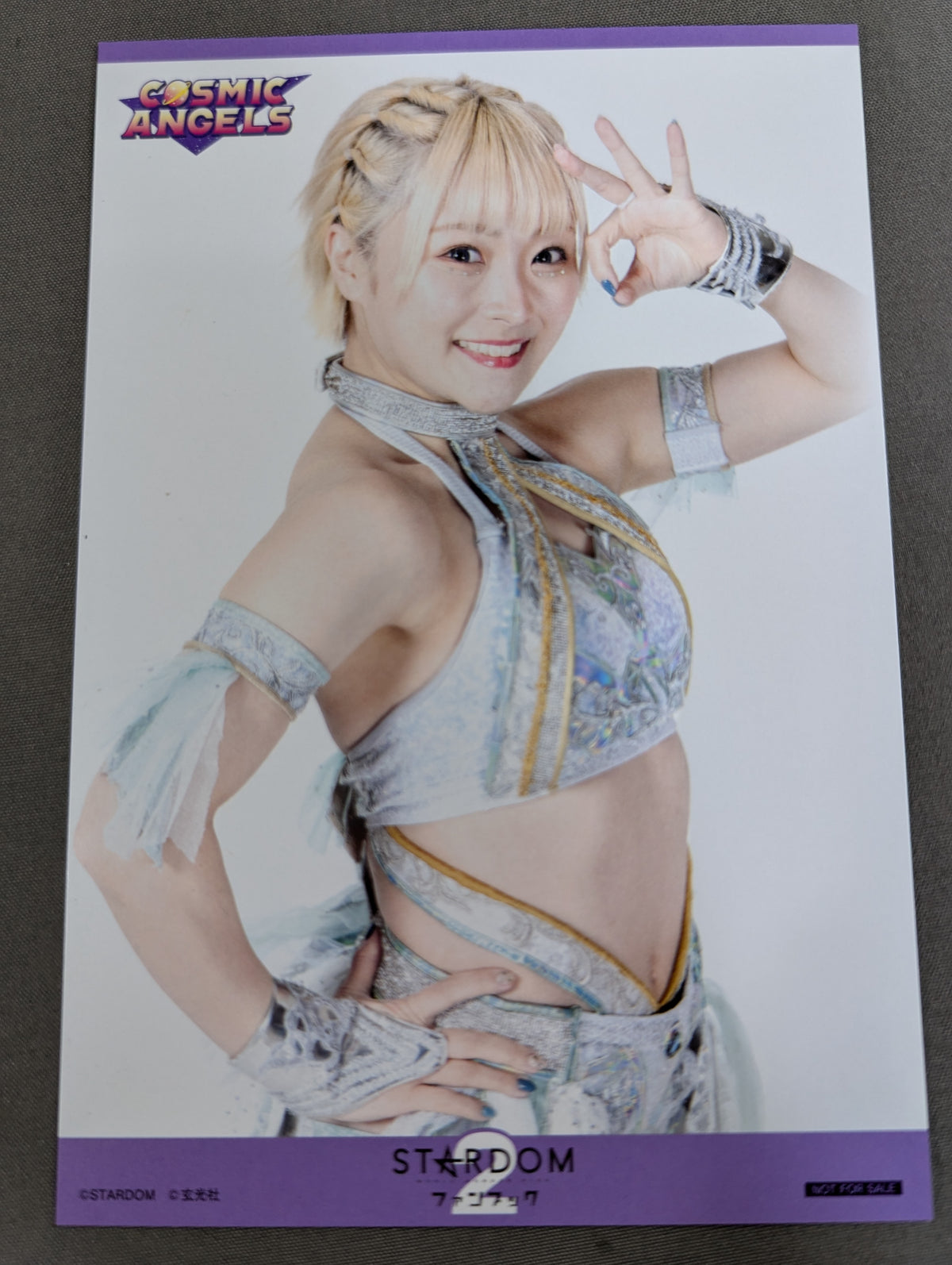 【ブロマイド2枚付】スターダム ファンブック2  STARDOM FANBOOK 2