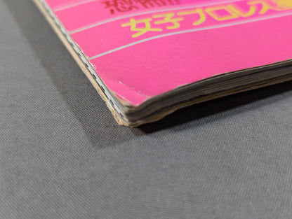 Women'Pro Wrestling '85 Flame Konoya Low!!