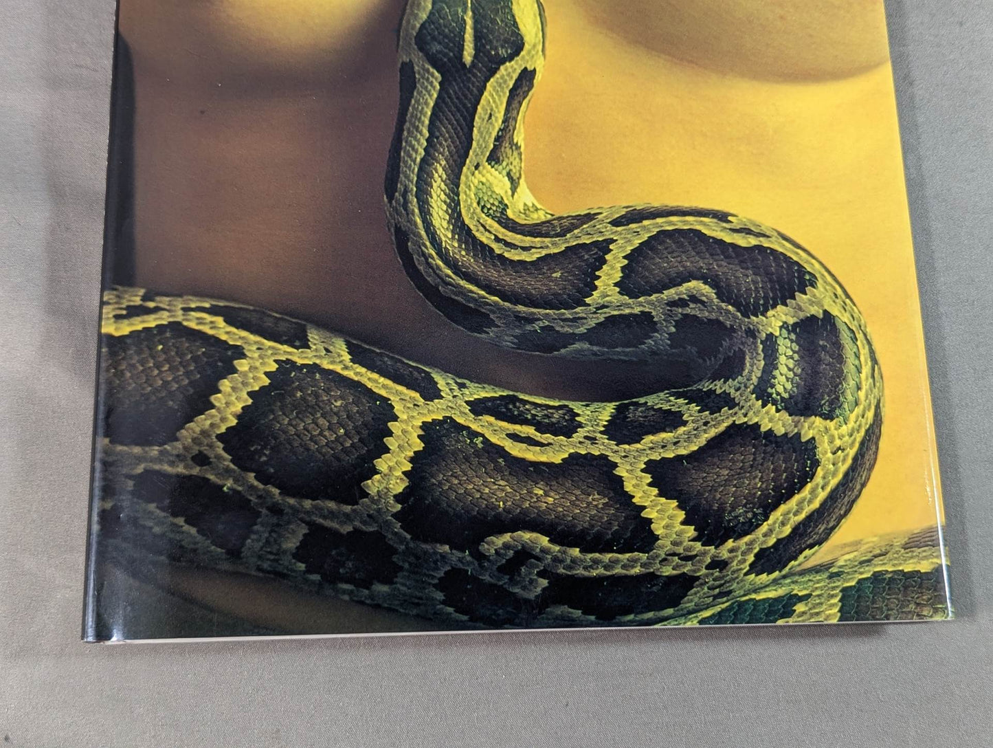 Hikari Fukuoka  photo  collection DESNUDA )