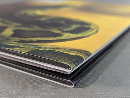 Hikari Fukuoka  photo  collection DESNUDA )