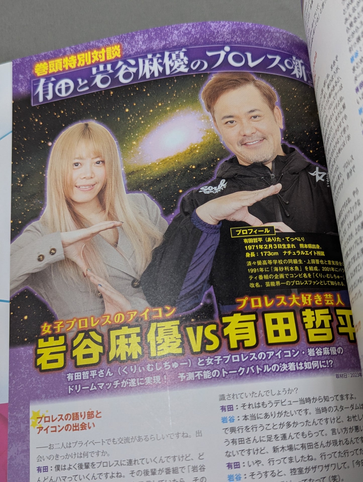 スターダム ファンブック2  STARDOM FANBOOK 2