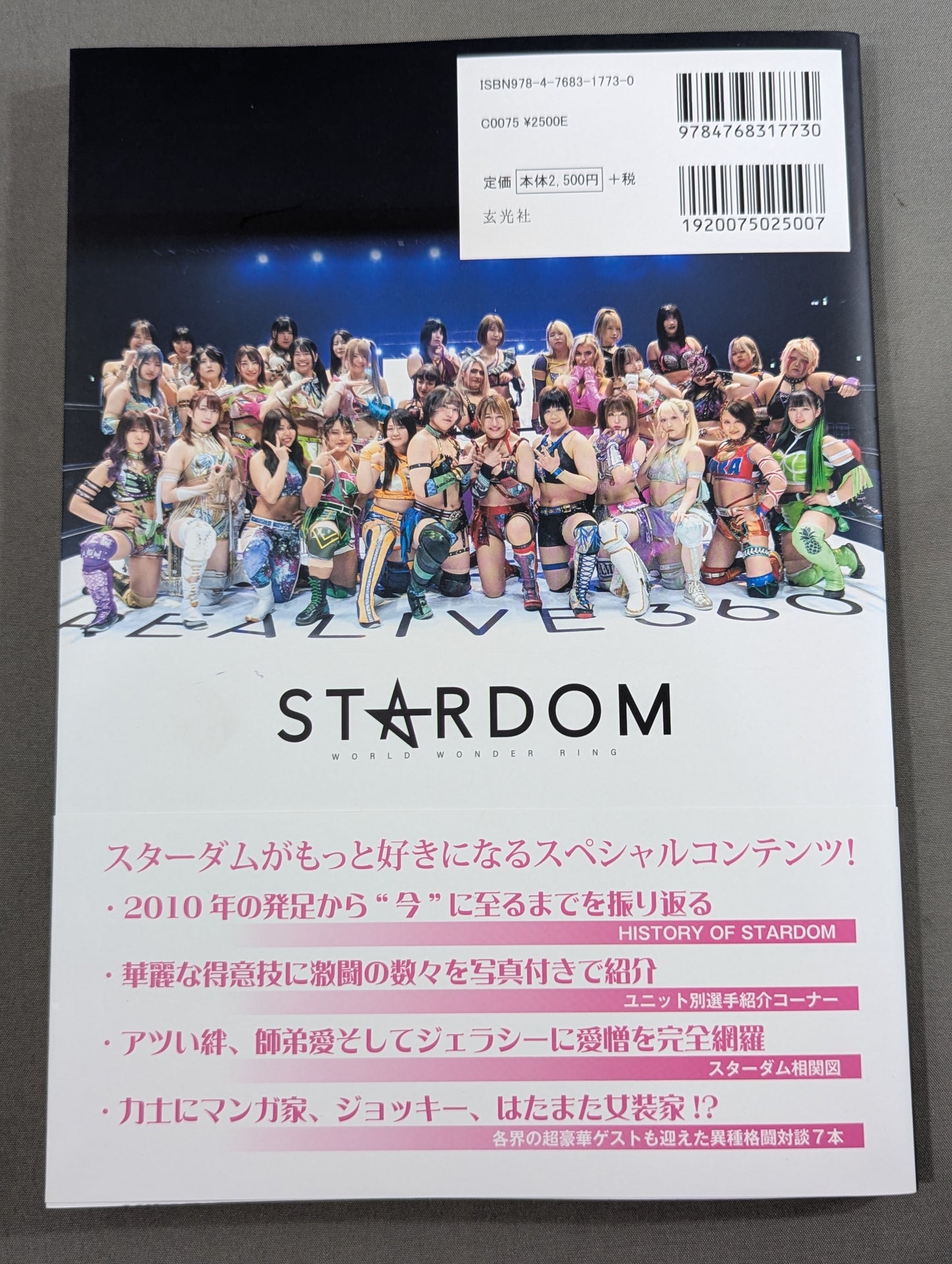 スターダム ファンブック2  STARDOM FANBOOK 2