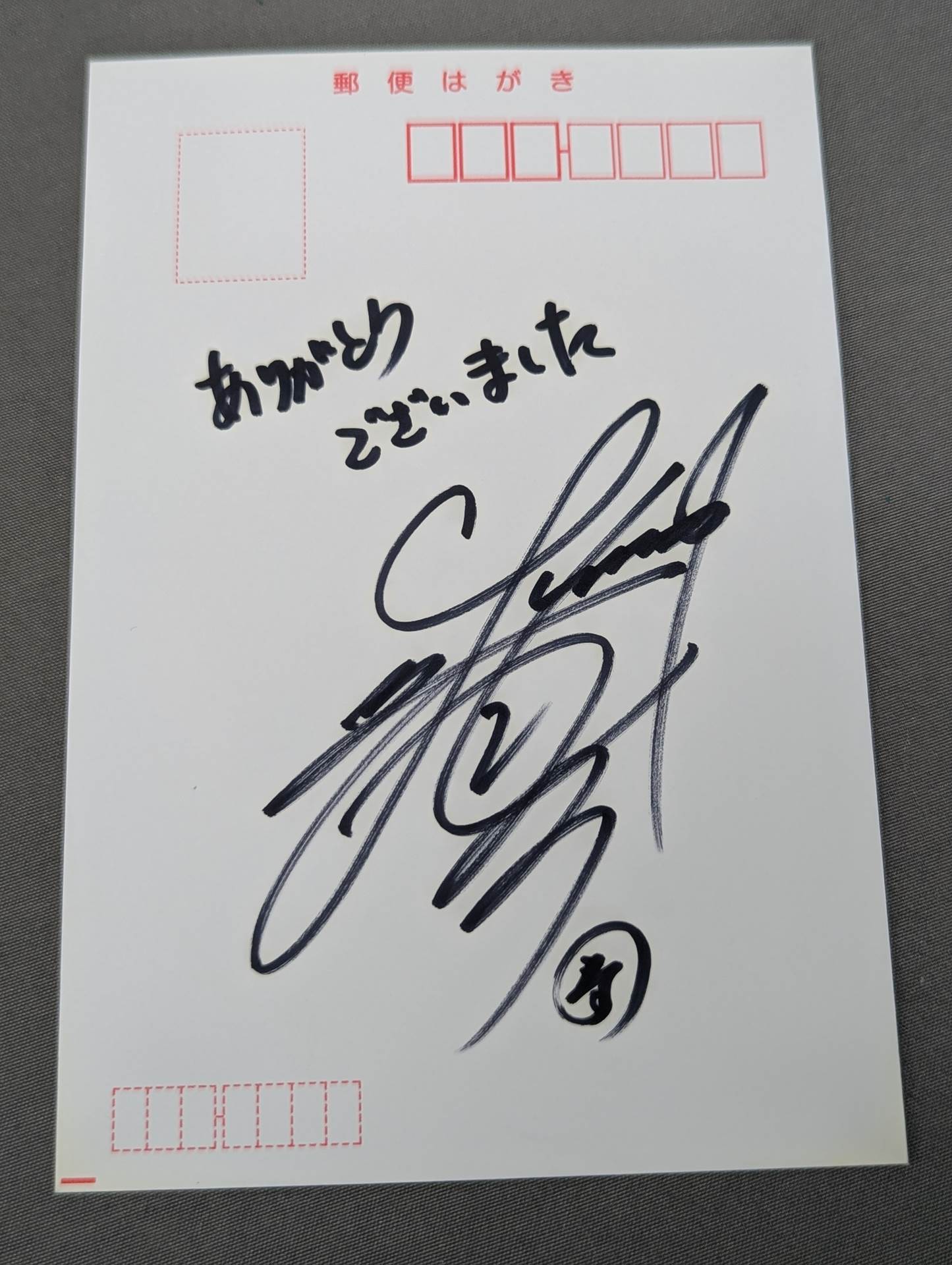 【植松寿絵 直筆サイン入り】女子プロレスラーの闘う、カラダ