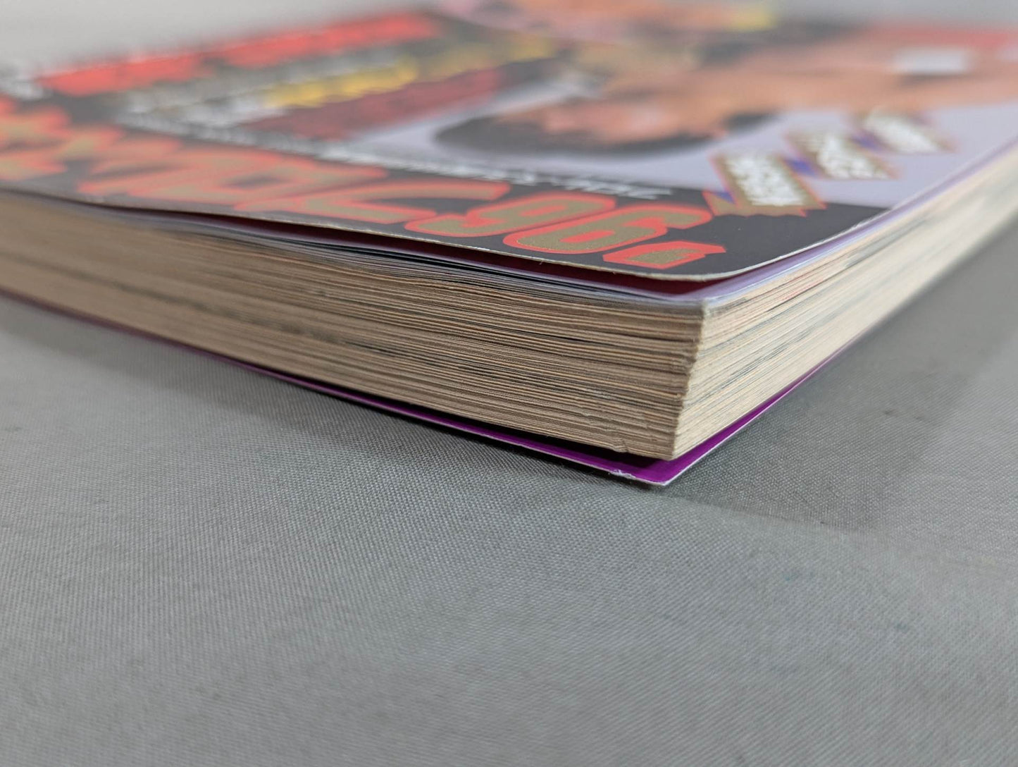 96Pro Wrestling Yearbook