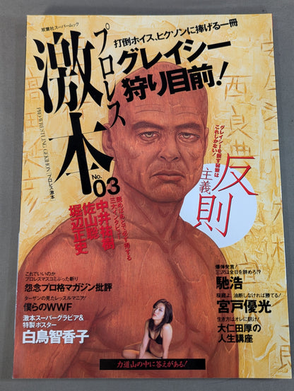 Pro Wrestling  No.3