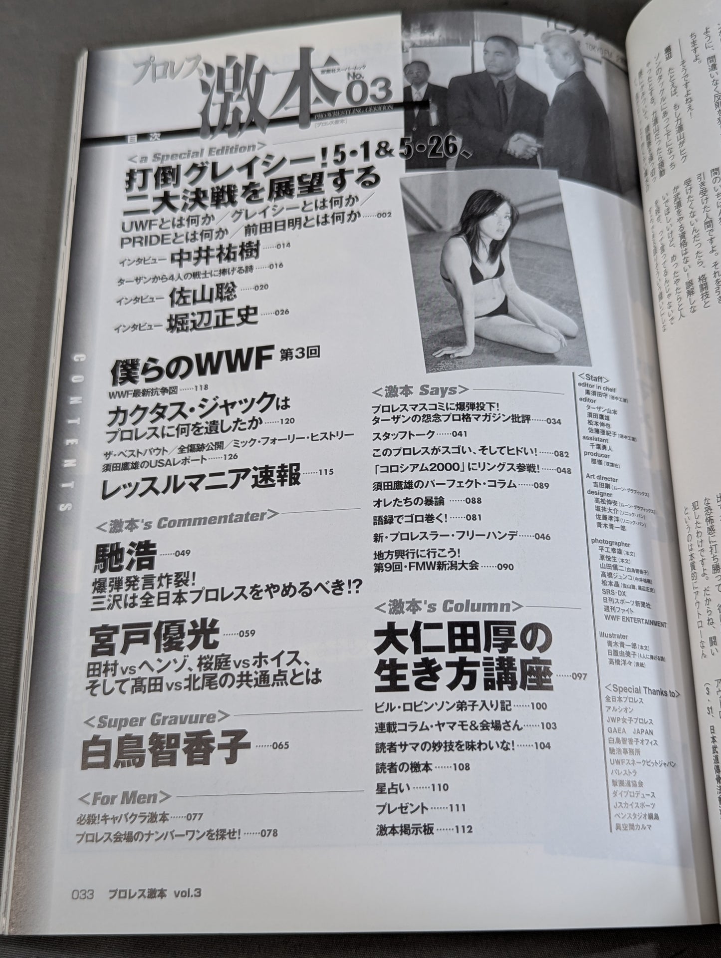 Pro Wrestling  No.3