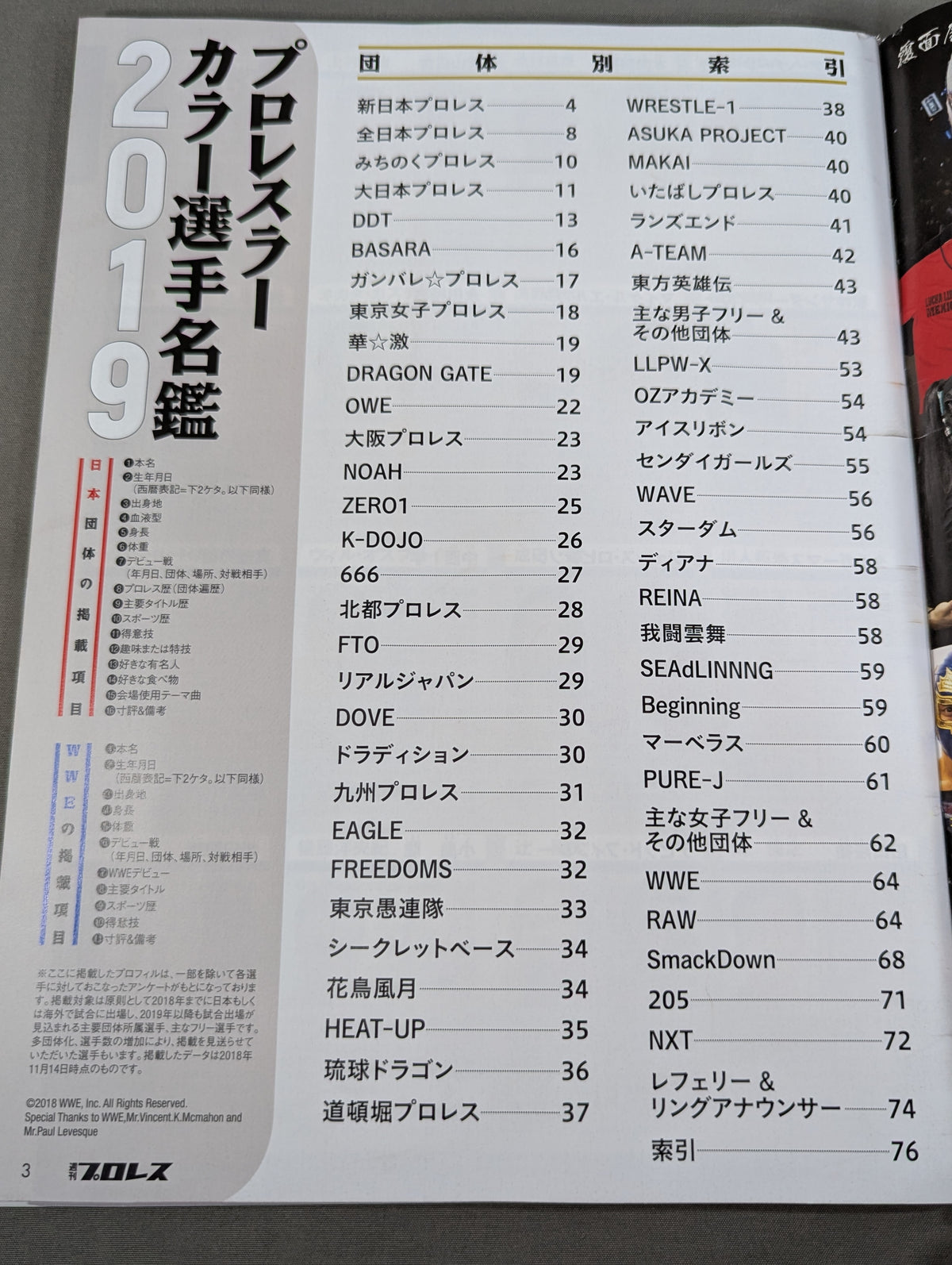 プロレスラー カラー写真名鑑 2019