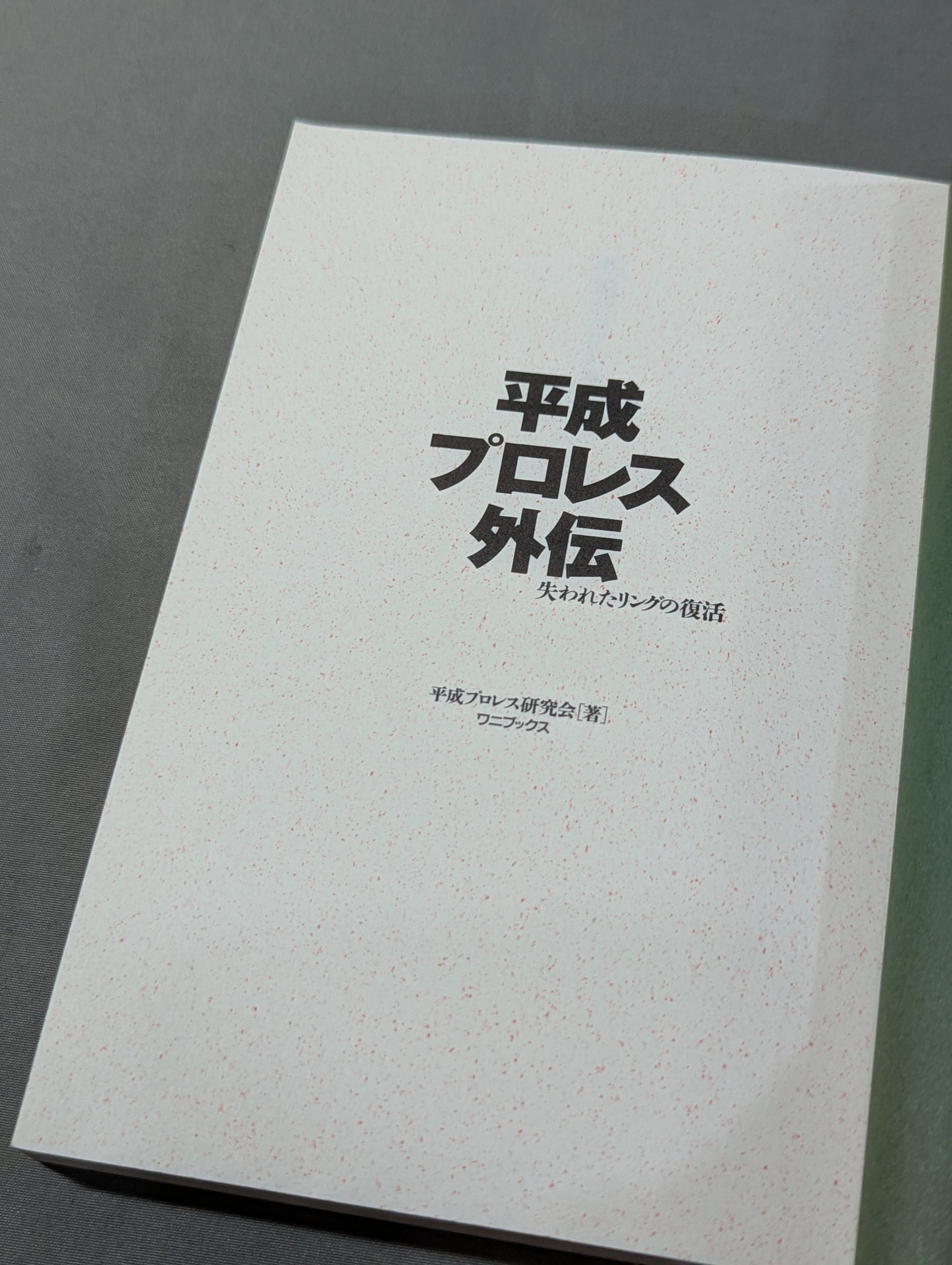 Heisei Pro Wrestling  Gaiden Revival of the Lost Ring