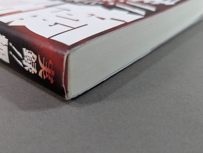 実録!!極真大乱 大山倍達の死と､全国各派の真実