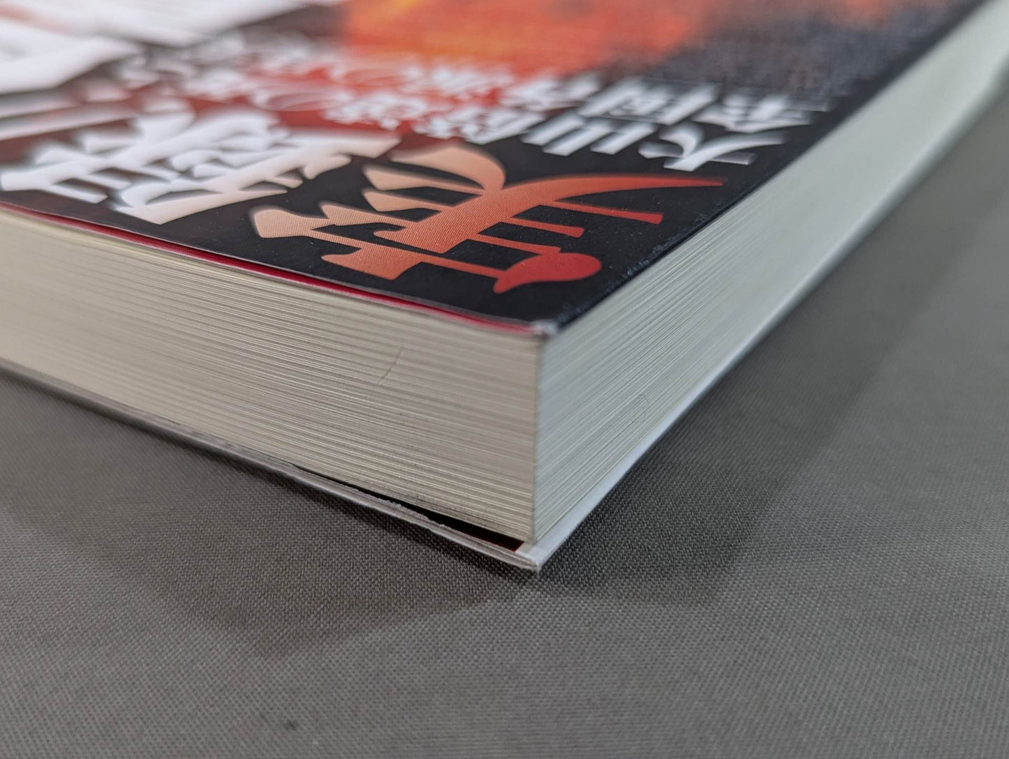 実録!!極真大乱 大山倍達の死と､全国各派の真実